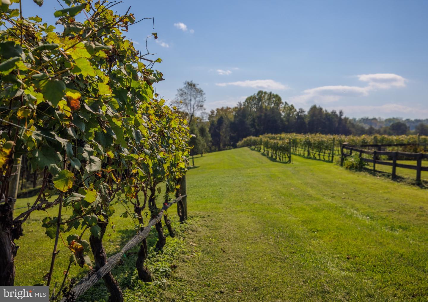 8105 WILLBOYD CT, MARSHALL, Virginia 20115, 4 Bedrooms Bedrooms, ,3 BathroomsBathrooms,Farm,For Sale,8105 WILLBOYD CT,VAFQ2014270 MLS # VAFQ2014270