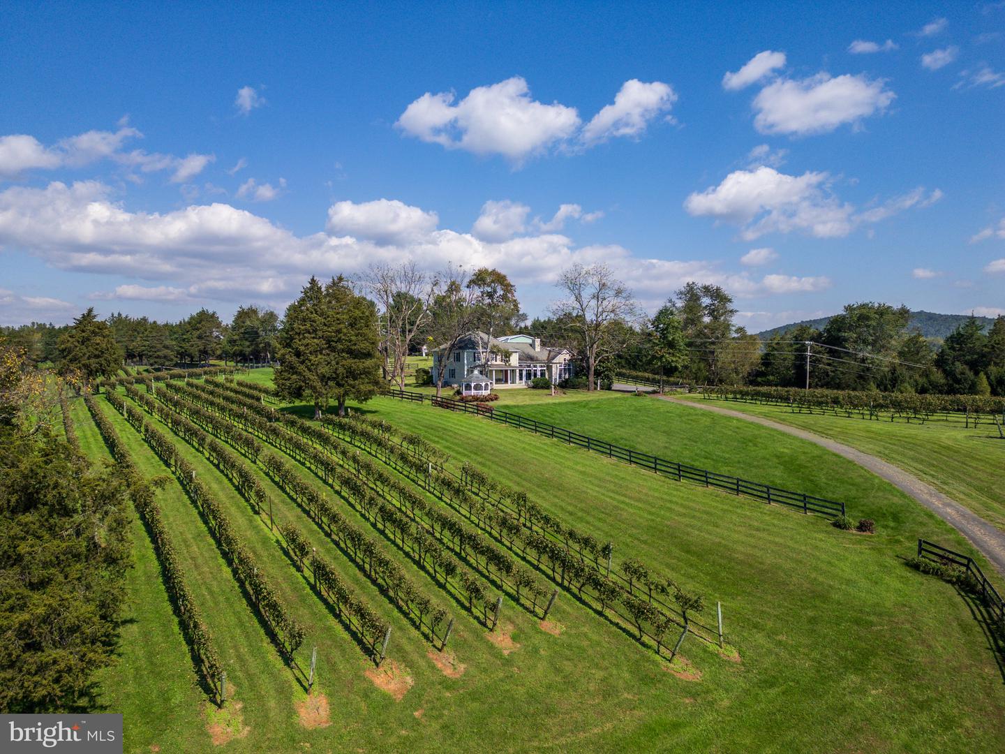 8105 WILLBOYD CT, MARSHALL, Virginia 20115, 4 Bedrooms Bedrooms, ,3 BathroomsBathrooms,Residential,For Sale,8105 WILLBOYD CT,VAFQ2014272 MLS # VAFQ2014272