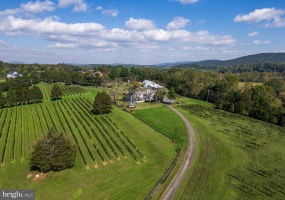8105 WILLBOYD CT, MARSHALL, Virginia 20115, 4 Bedrooms Bedrooms, ,3 BathroomsBathrooms,Residential,For Sale,8105 WILLBOYD CT,VAFQ2014272 MLS # VAFQ2014272 8105 WILLBOYD CT, MARSHALL, Virginia 20115, 4 Bedrooms Bedrooms, ,3 BathroomsBathrooms,Residential,For Sale,8105 WILLBOYD CT,VAFQ2014272 MLS # VAFQ2014272