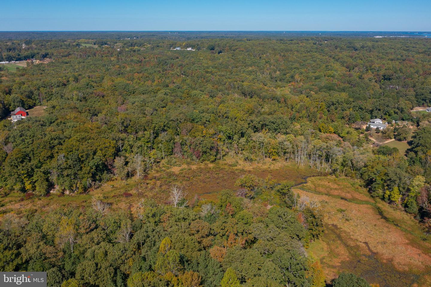 ROUND HILL ROAD & RIDGE ROAD, KING GEORGE, Virginia 22485, ,Farm,For Sale,ROUND HILL ROAD & RIDGE ROAD,VAKG2005548 MLS # VAKG2005548 ROUND HILL ROAD & RIDGE ROAD, KING GEORGE, Virginia 22485, ,Farm,For Sale,ROUND HILL ROAD & RIDGE ROAD,VAKG2005548 MLS # VAKG2005548