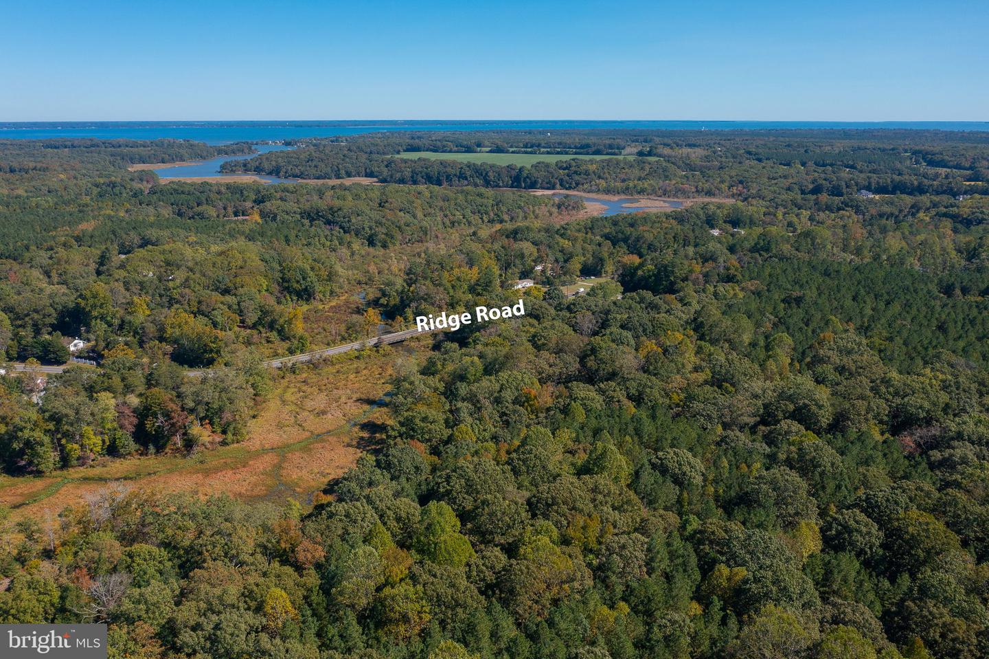 ROUND HILL ROAD & RIDGE ROAD, KING GEORGE, Virginia 22485, ,Farm,For Sale,ROUND HILL ROAD & RIDGE ROAD,VAKG2005548 MLS # VAKG2005548 ROUND HILL ROAD & RIDGE ROAD, KING GEORGE, Virginia 22485, ,Farm,For Sale,ROUND HILL ROAD & RIDGE ROAD,VAKG2005548 MLS # VAKG2005548