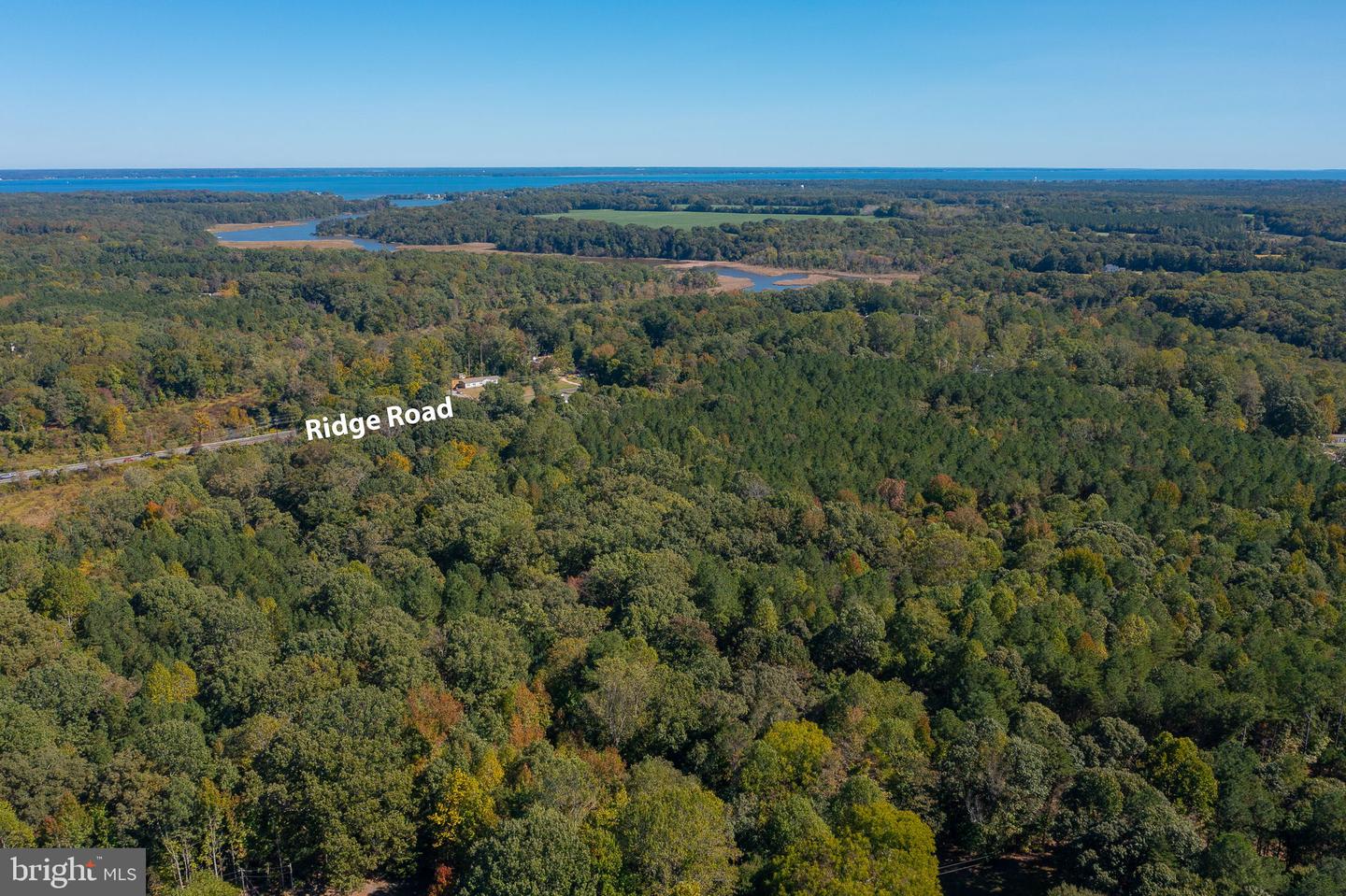 ROUND HILL ROAD & RIDGE ROAD, KING GEORGE, Virginia 22485, ,Farm,For Sale,ROUND HILL ROAD & RIDGE ROAD,VAKG2005548 MLS # VAKG2005548 ROUND HILL ROAD & RIDGE ROAD, KING GEORGE, Virginia 22485, ,Farm,For Sale,ROUND HILL ROAD & RIDGE ROAD,VAKG2005548 MLS # VAKG2005548