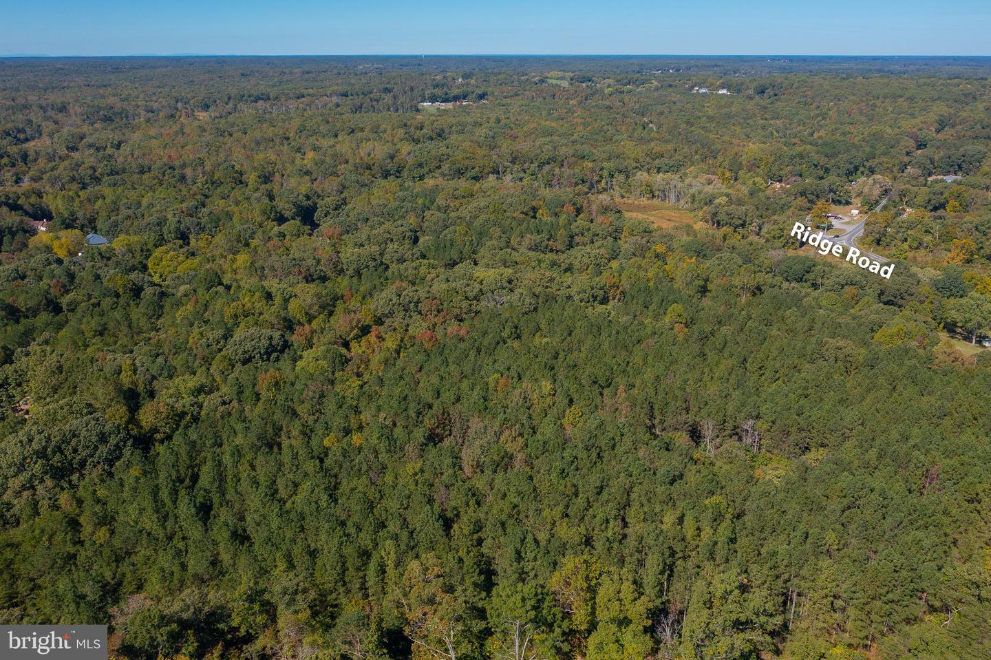 ROUND HILL ROAD & RIDGE ROAD, KING GEORGE, Virginia 22485, ,Farm,For Sale,ROUND HILL ROAD & RIDGE ROAD,VAKG2005548 MLS # VAKG2005548 ROUND HILL ROAD & RIDGE ROAD, KING GEORGE, Virginia 22485, ,Farm,For Sale,ROUND HILL ROAD & RIDGE ROAD,VAKG2005548 MLS # VAKG2005548