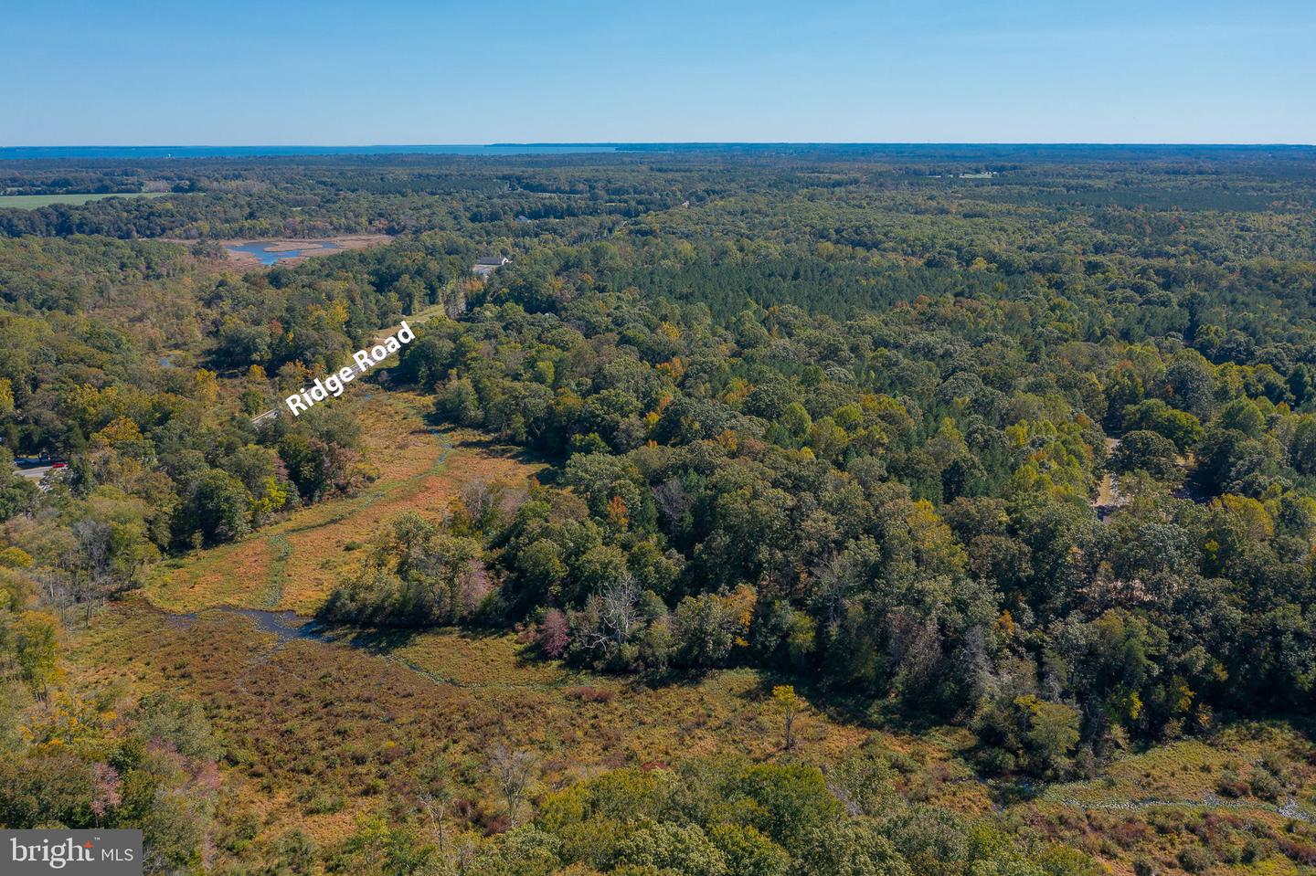 ROUND HILL ROAD & RIDGE ROAD, KING GEORGE, Virginia 22485, ,Farm,For Sale,ROUND HILL ROAD & RIDGE ROAD,VAKG2005548 MLS # VAKG2005548 ROUND HILL ROAD & RIDGE ROAD, KING GEORGE, Virginia 22485, ,Farm,For Sale,ROUND HILL ROAD & RIDGE ROAD,VAKG2005548 MLS # VAKG2005548