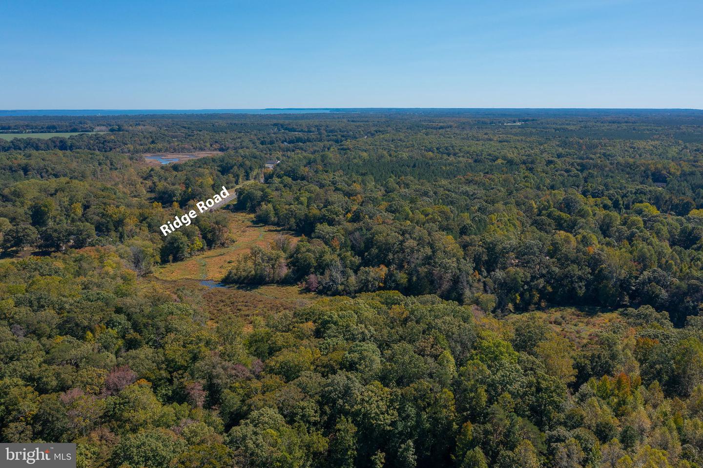 ROUND HILL ROAD & RIDGE ROAD, KING GEORGE, Virginia 22485, ,Farm,For Sale,ROUND HILL ROAD & RIDGE ROAD,VAKG2005548 MLS # VAKG2005548 ROUND HILL ROAD & RIDGE ROAD, KING GEORGE, Virginia 22485, ,Farm,For Sale,ROUND HILL ROAD & RIDGE ROAD,VAKG2005548 MLS # VAKG2005548