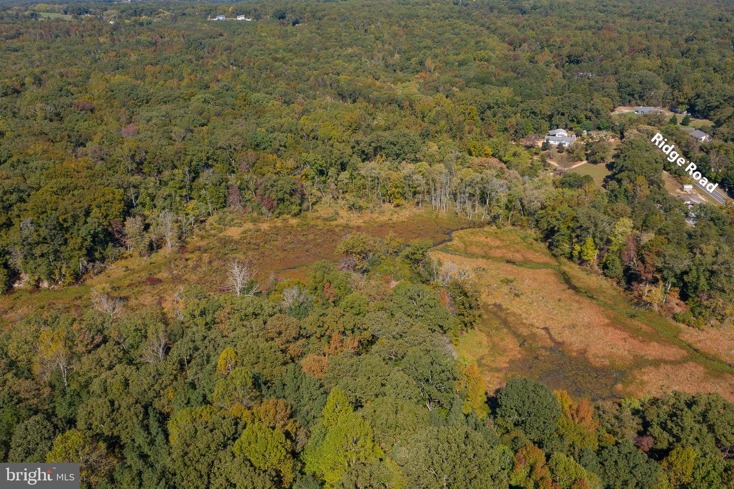 ROUND HILL ROAD & RIDGE ROAD, KING GEORGE, Virginia 22485, ,Farm,For Sale,ROUND HILL ROAD & RIDGE ROAD,VAKG2005548 MLS # VAKG2005548 ROUND HILL ROAD & RIDGE ROAD, KING GEORGE, Virginia 22485, ,Farm,For Sale,ROUND HILL ROAD & RIDGE ROAD,VAKG2005548 MLS # VAKG2005548