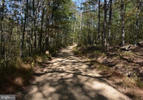 33+ ACRES QUAIL RUN LN, WINCHESTER, Virginia 22602, ,Land,For Sale,33+ ACRES QUAIL RUN LN,VAFV2022278 MLS # VAFV2022278 33+ ACRES QUAIL RUN LN, WINCHESTER, Virginia 22602, ,Land,For Sale,33+ ACRES QUAIL RUN LN,VAFV2022278 MLS # VAFV2022278