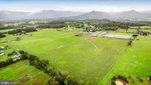 0 PHOEBE LN, LURAY, Virginia 22835, ,Land,For Sale,0 PHOEBE LN,VAPA2004122 MLS # VAPA2004122