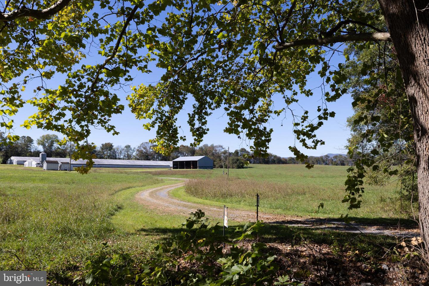 VAUGHN SUMMIT RD., LURAY, Virginia 22835, ,Land,For Sale,VAUGHN SUMMIT RD.,VAPA2004118 MLS # VAPA2004118