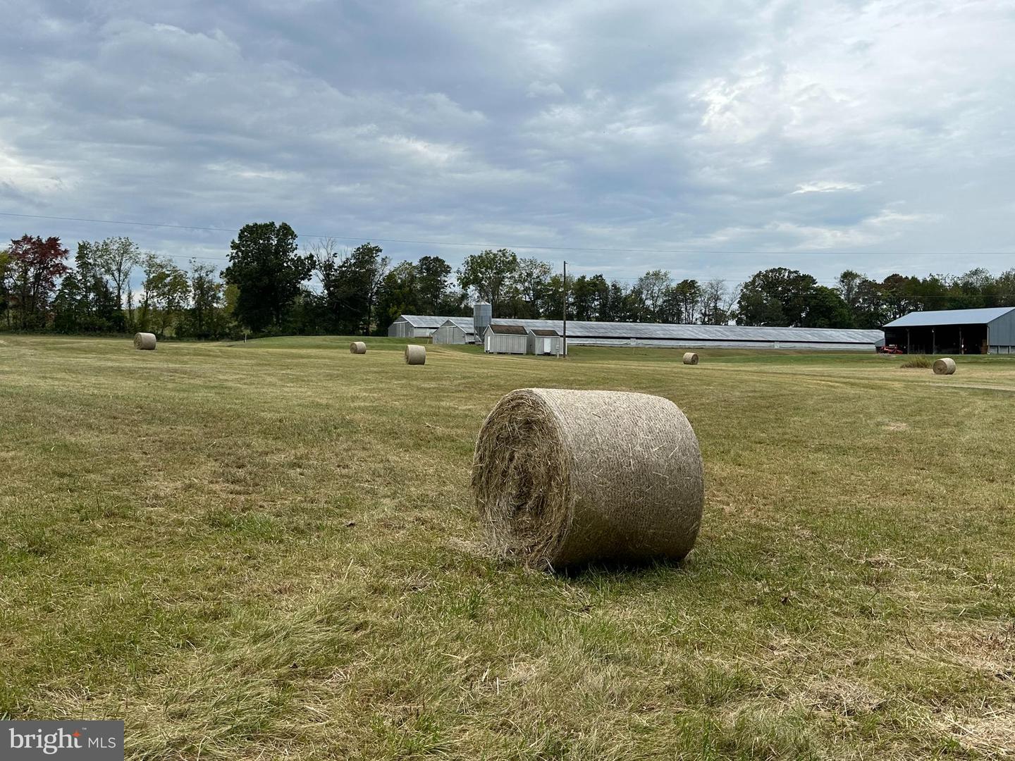 VAUGHN SUMMIT RD., LURAY, Virginia 22835, ,Land,For Sale,VAUGHN SUMMIT RD.,VAPA2004118 MLS # VAPA2004118