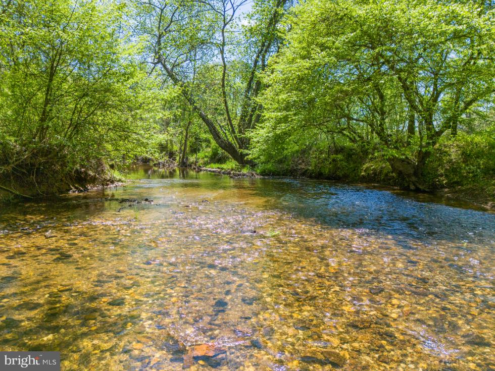 THUMB RUN RD, ORLEAN, Virginia 20128, ,Land,For Sale,THUMB RUN RD,VAFQ2014404 MLS # VAFQ2014404 THUMB RUN RD, ORLEAN, Virginia 20128, ,Land,For Sale,THUMB RUN RD,VAFQ2014404 MLS # VAFQ2014404