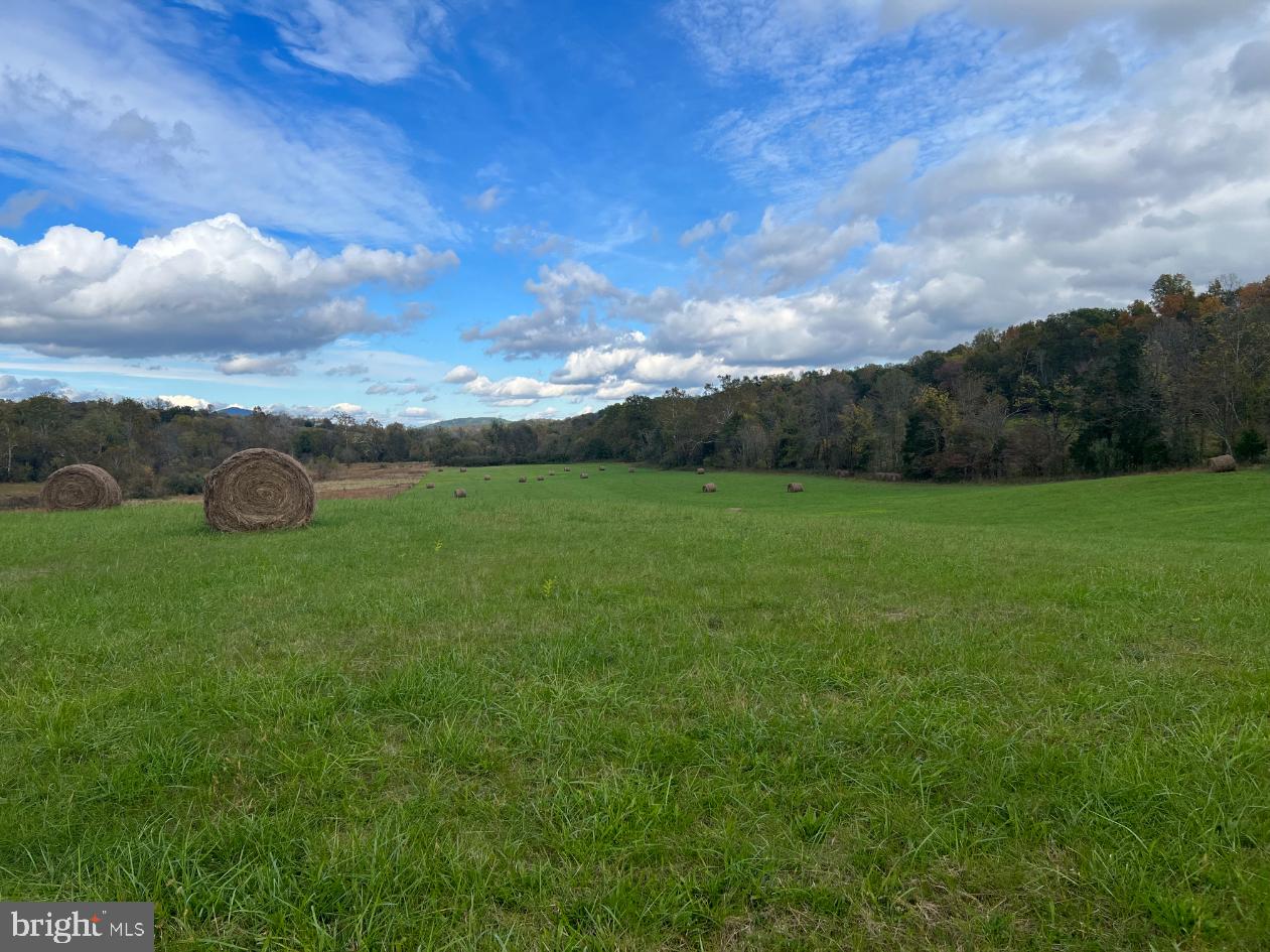 THUMB RUN RD, ORLEAN, Virginia 20128, ,Land,For Sale,THUMB RUN RD,VAFQ2014404 MLS # VAFQ2014404 THUMB RUN RD, ORLEAN, Virginia 20128, ,Land,For Sale,THUMB RUN RD,VAFQ2014404 MLS # VAFQ2014404