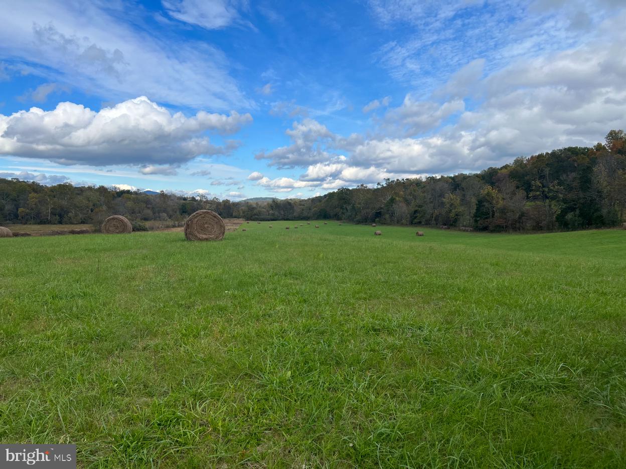 THUMB RUN RD, ORLEAN, Virginia 20128, ,Land,For Sale,THUMB RUN RD,VAFQ2014404 MLS # VAFQ2014404 THUMB RUN RD, ORLEAN, Virginia 20128, ,Land,For Sale,THUMB RUN RD,VAFQ2014404 MLS # VAFQ2014404