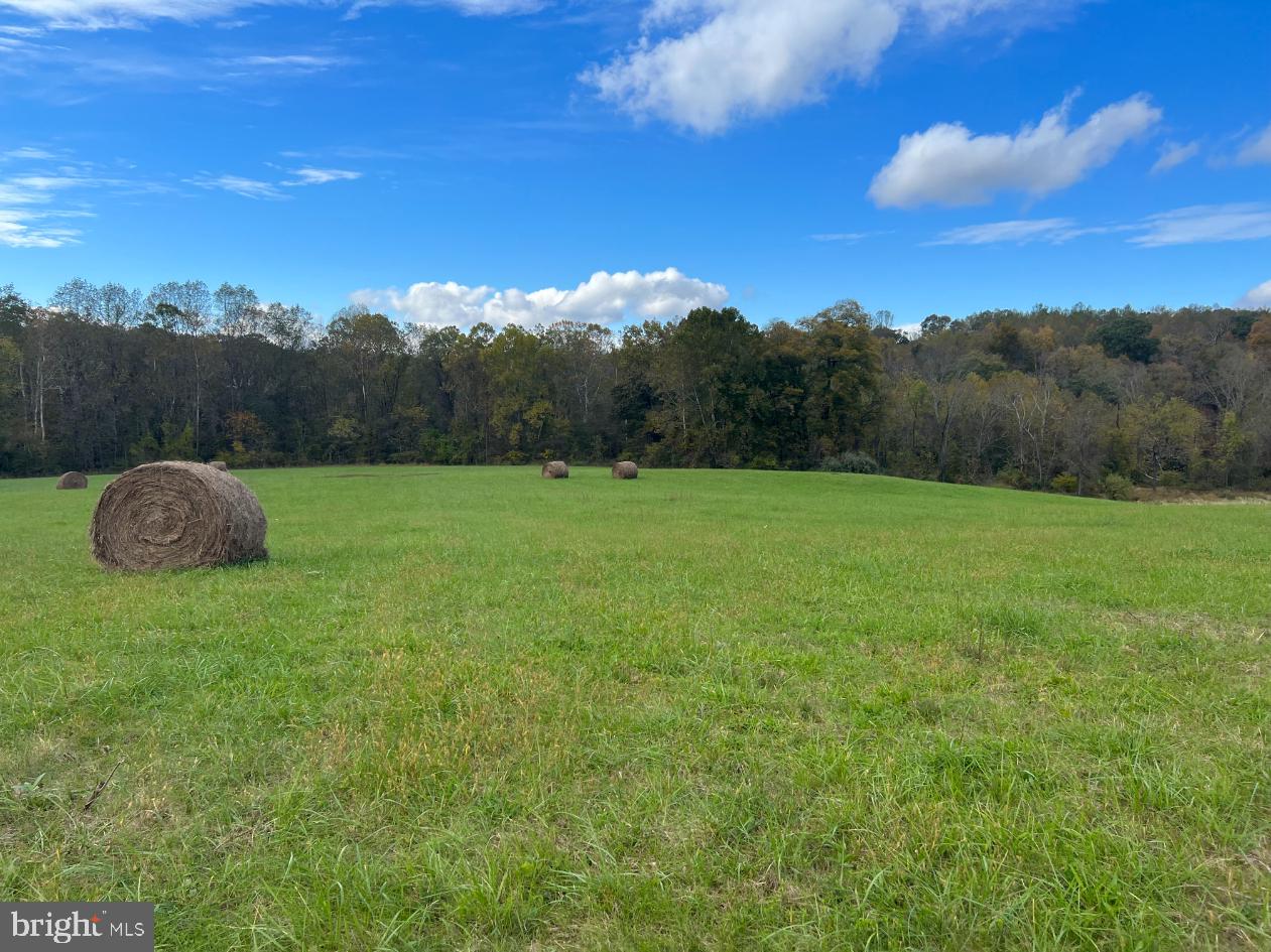HAWTHORNE FARM RD, ORLEAN, Virginia 20128, ,Farm,For Sale,HAWTHORNE FARM RD,VAFQ2014406 MLS # VAFQ2014406 HAWTHORNE FARM RD, ORLEAN, Virginia 20128, ,Farm,For Sale,HAWTHORNE FARM RD,VAFQ2014406 MLS # VAFQ2014406