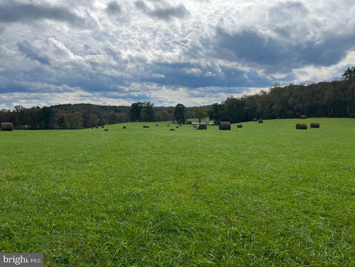 HAWTHORNE FARM RD, ORLEAN, Virginia 20128, ,Farm,For Sale,HAWTHORNE FARM RD,VAFQ2014406 MLS # VAFQ2014406 HAWTHORNE FARM RD, ORLEAN, Virginia 20128, ,Farm,For Sale,HAWTHORNE FARM RD,VAFQ2014406 MLS # VAFQ2014406