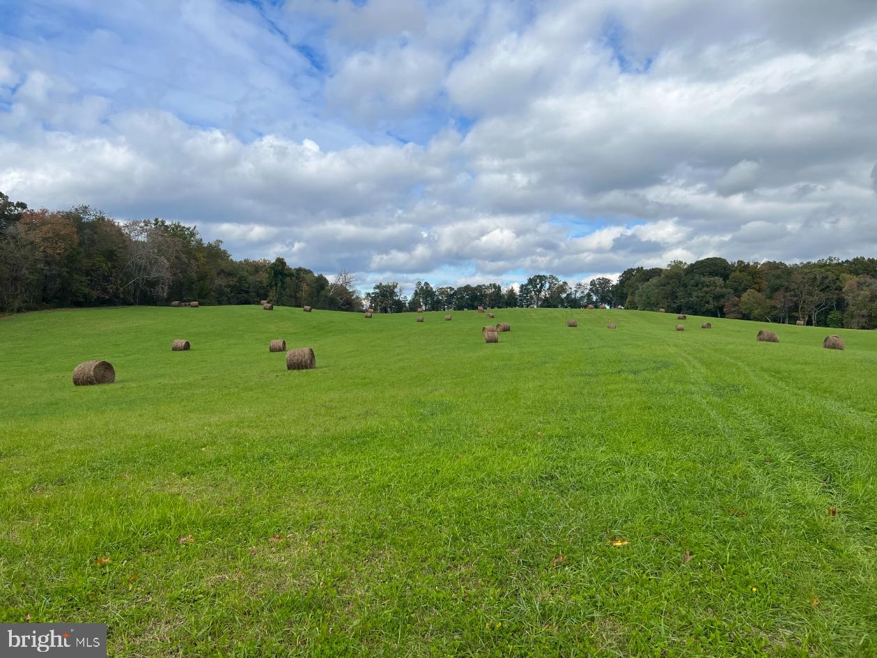HAWTHORNE FARM RD, ORLEAN, Virginia 20128, ,Farm,For Sale,HAWTHORNE FARM RD,VAFQ2014406 MLS # VAFQ2014406 HAWTHORNE FARM RD, ORLEAN, Virginia 20128, ,Farm,For Sale,HAWTHORNE FARM RD,VAFQ2014406 MLS # VAFQ2014406