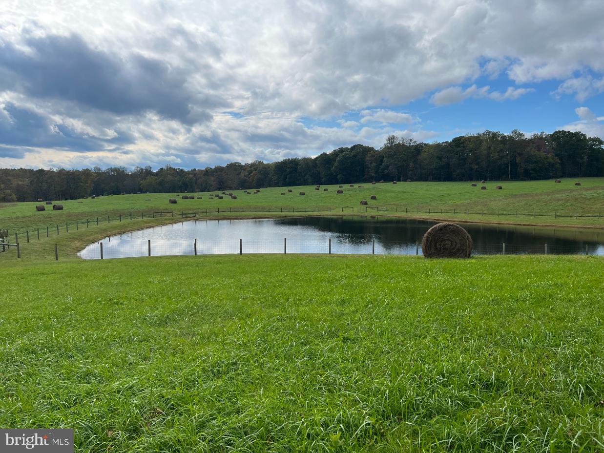 HAWTHORNE FARM RD, ORLEAN, Virginia 20128, ,Farm,For Sale,HAWTHORNE FARM RD,VAFQ2014406 MLS # VAFQ2014406 HAWTHORNE FARM RD, ORLEAN, Virginia 20128, ,Farm,For Sale,HAWTHORNE FARM RD,VAFQ2014406 MLS # VAFQ2014406