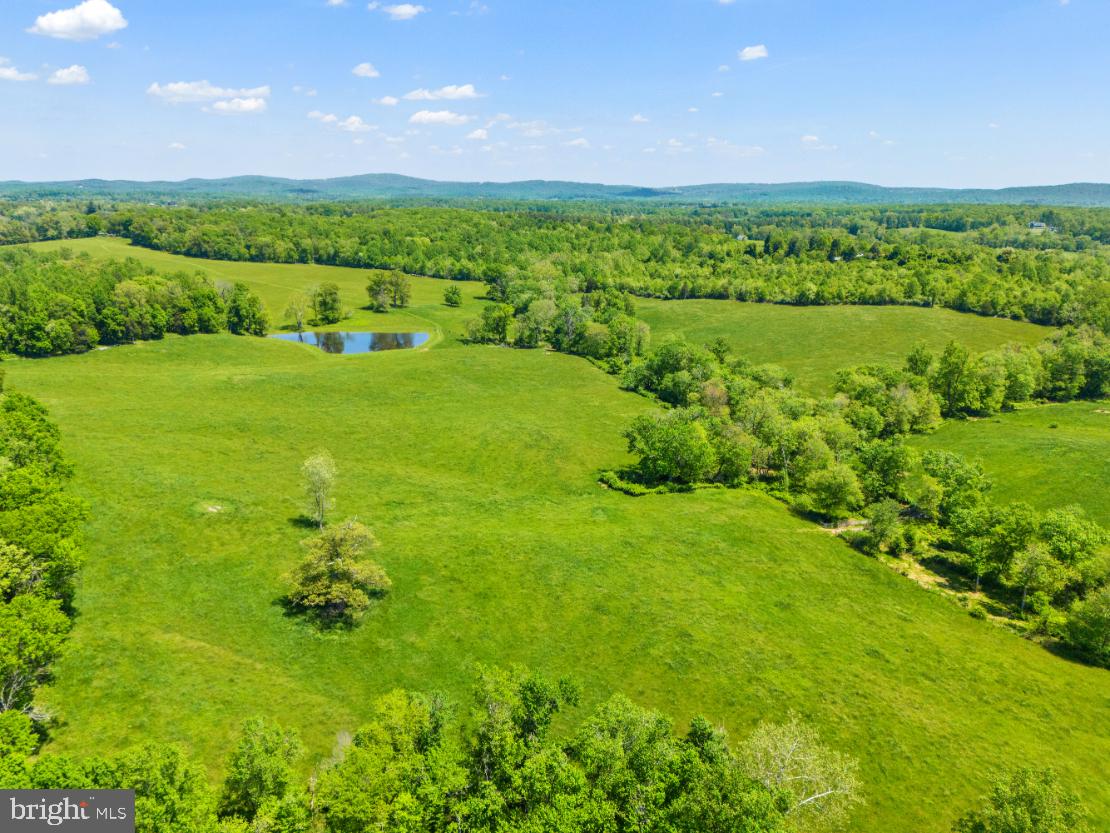 HAWTHORNE FARM RD, ORLEAN, Virginia 20128, ,Farm,For Sale,HAWTHORNE FARM RD,VAFQ2014406 MLS # VAFQ2014406 HAWTHORNE FARM RD, ORLEAN, Virginia 20128, ,Farm,For Sale,HAWTHORNE FARM RD,VAFQ2014406 MLS # VAFQ2014406