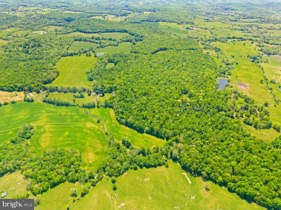 HAWTHORNE FARM RD, ORLEAN, Virginia 20128, ,Farm,For Sale,HAWTHORNE FARM RD,VAFQ2014406 MLS # VAFQ2014406 HAWTHORNE FARM RD, ORLEAN, Virginia 20128, ,Farm,For Sale,HAWTHORNE FARM RD,VAFQ2014406 MLS # VAFQ2014406