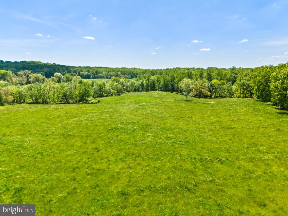 HAWTHORNE FARM RD, ORLEAN, Virginia 20128, ,Farm,For Sale,HAWTHORNE FARM RD,VAFQ2014406 MLS # VAFQ2014406 HAWTHORNE FARM RD, ORLEAN, Virginia 20128, ,Farm,For Sale,HAWTHORNE FARM RD,VAFQ2014406 MLS # VAFQ2014406