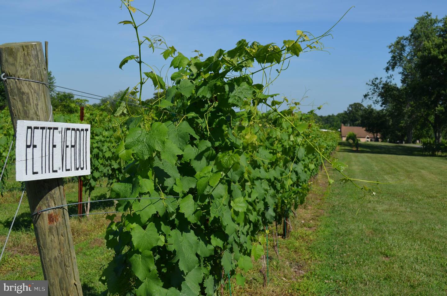 5621 COURTHOUSE RD, SPOTSYLVANIA, Virginia 22551, ,Land,For Sale,5621 COURTHOUSE RD,VASP2028818 MLS # VASP2028818 5621 COURTHOUSE RD, SPOTSYLVANIA, Virginia 22551, ,Land,For Sale,5621 COURTHOUSE RD,VASP2028818 MLS # VASP2028818