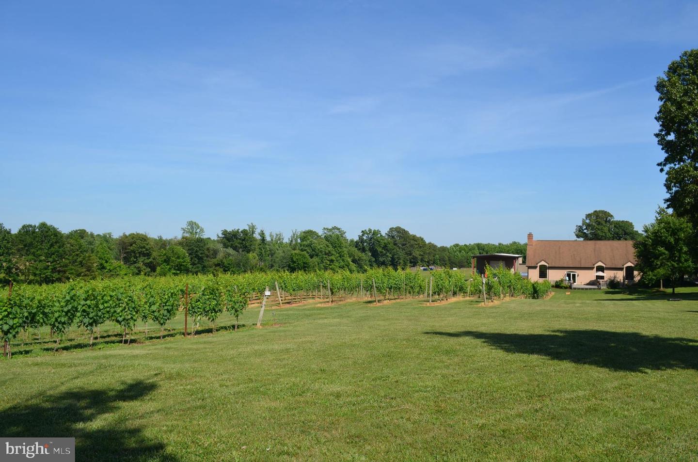 5621 COURTHOUSE RD, SPOTSYLVANIA, Virginia 22551, ,Land,For Sale,5621 COURTHOUSE RD,VASP2028818 MLS # VASP2028818 5621 COURTHOUSE RD, SPOTSYLVANIA, Virginia 22551, ,Land,For Sale,5621 COURTHOUSE RD,VASP2028818 MLS # VASP2028818