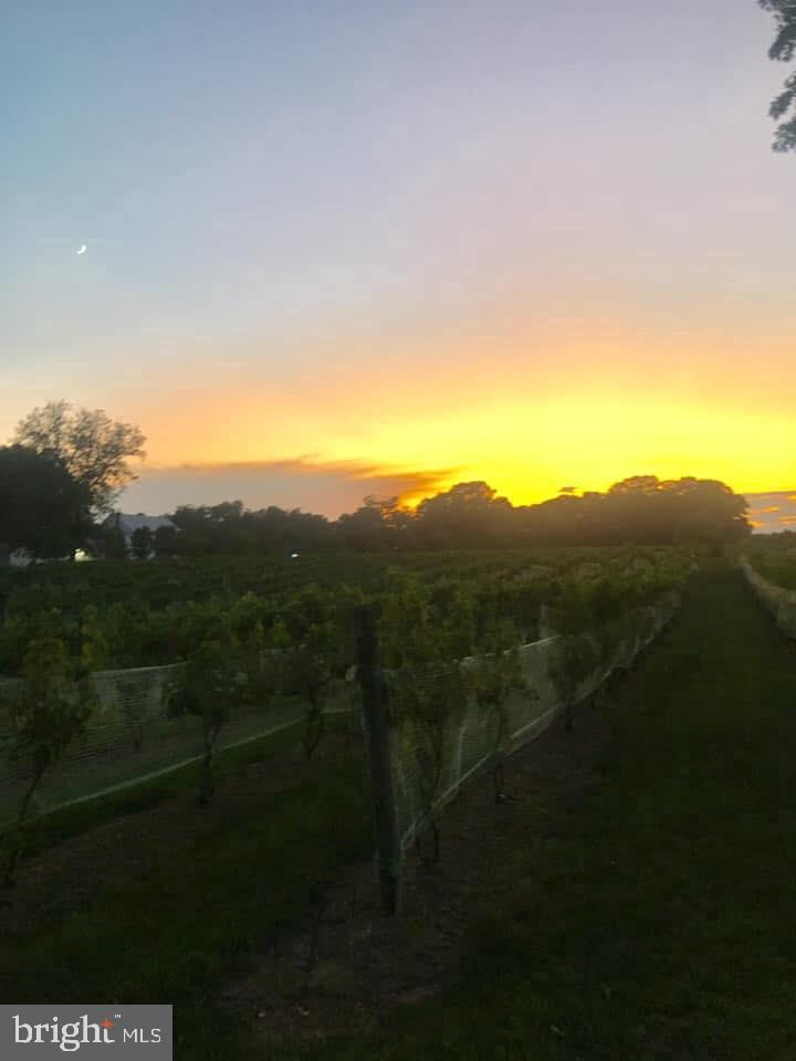 5621 COURTHOUSE RD, SPOTSYLVANIA, Virginia 22551, ,Land,For Sale,5621 COURTHOUSE RD,VASP2028818 MLS # VASP2028818 5621 COURTHOUSE RD, SPOTSYLVANIA, Virginia 22551, ,Land,For Sale,5621 COURTHOUSE RD,VASP2028818 MLS # VASP2028818