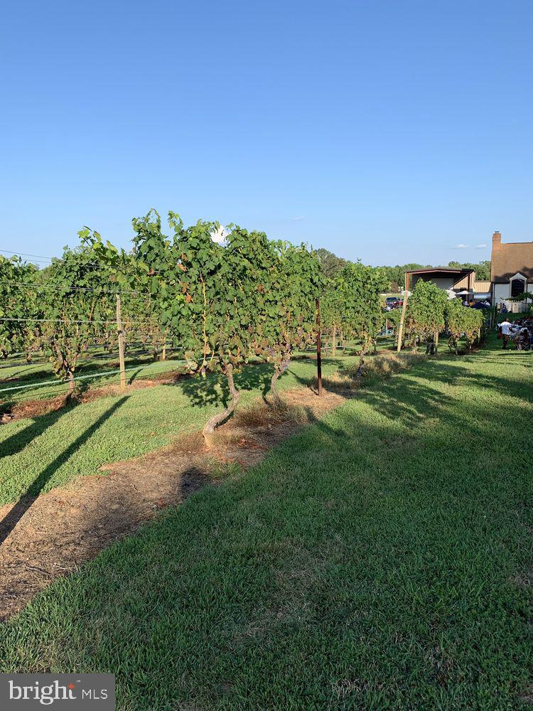 5621 COURTHOUSE RD, SPOTSYLVANIA, Virginia 22551, ,Land,For Sale,5621 COURTHOUSE RD,VASP2028818 MLS # VASP2028818 5621 COURTHOUSE RD, SPOTSYLVANIA, Virginia 22551, ,Land,For Sale,5621 COURTHOUSE RD,VASP2028818 MLS # VASP2028818