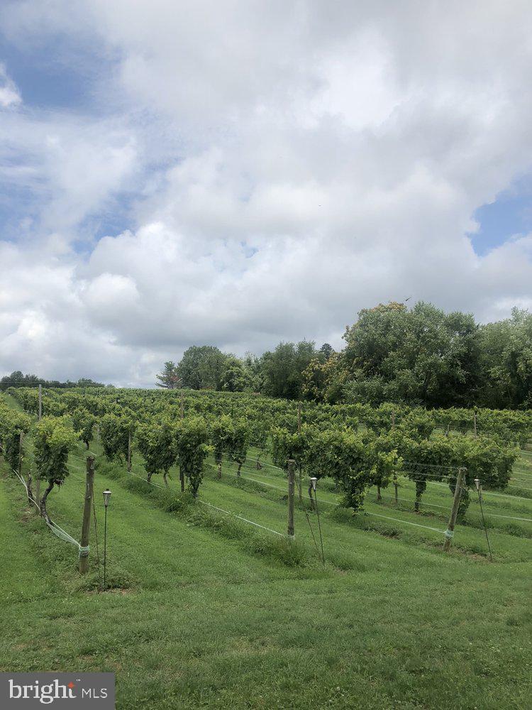 5621 COURTHOUSE RD, SPOTSYLVANIA, Virginia 22551, ,Land,For Sale,5621 COURTHOUSE RD,VASP2028818 MLS # VASP2028818 5621 COURTHOUSE RD, SPOTSYLVANIA, Virginia 22551, ,Land,For Sale,5621 COURTHOUSE RD,VASP2028818 MLS # VASP2028818