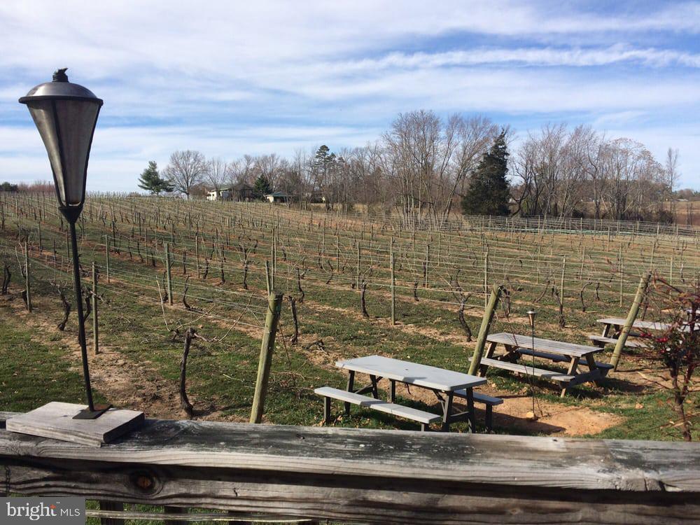 5621 COURTHOUSE RD, SPOTSYLVANIA, Virginia 22551, ,Land,For Sale,5621 COURTHOUSE RD,VASP2028818 MLS # VASP2028818 5621 COURTHOUSE RD, SPOTSYLVANIA, Virginia 22551, ,Land,For Sale,5621 COURTHOUSE RD,VASP2028818 MLS # VASP2028818