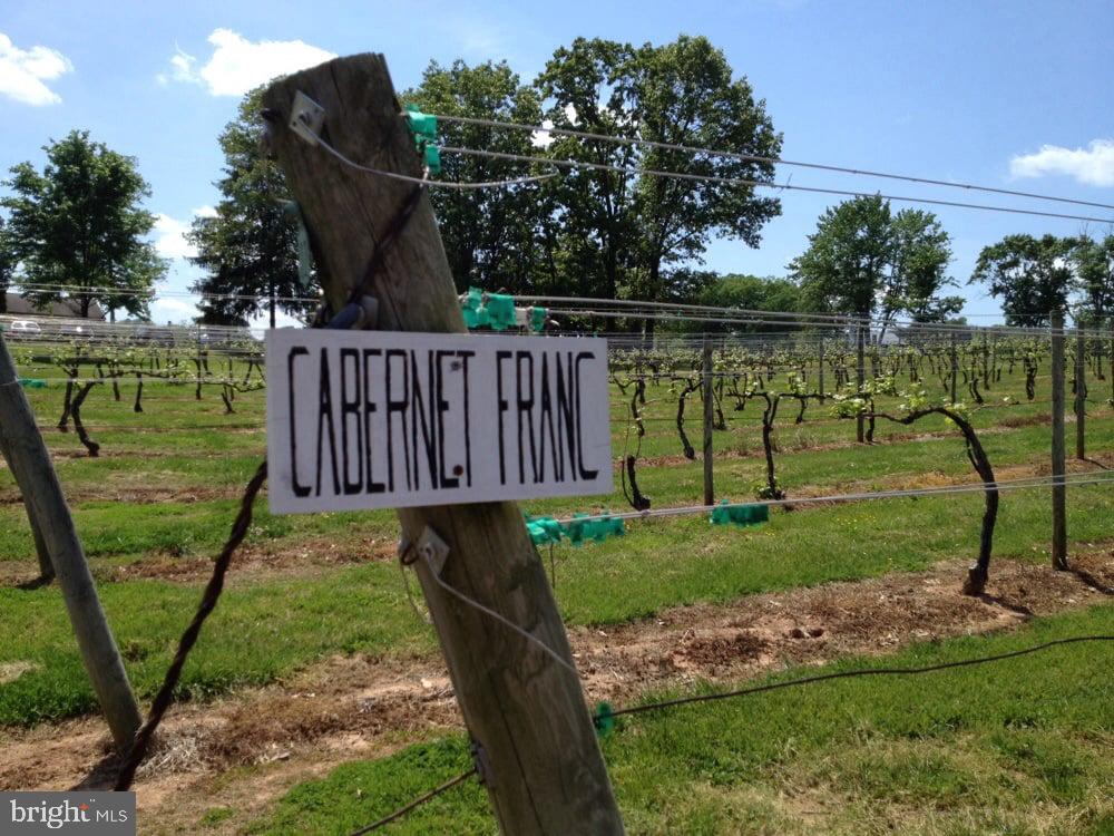 5621 COURTHOUSE RD, SPOTSYLVANIA, Virginia 22551, ,Land,For Sale,5621 COURTHOUSE RD,VASP2028818 MLS # VASP2028818 5621 COURTHOUSE RD, SPOTSYLVANIA, Virginia 22551, ,Land,For Sale,5621 COURTHOUSE RD,VASP2028818 MLS # VASP2028818