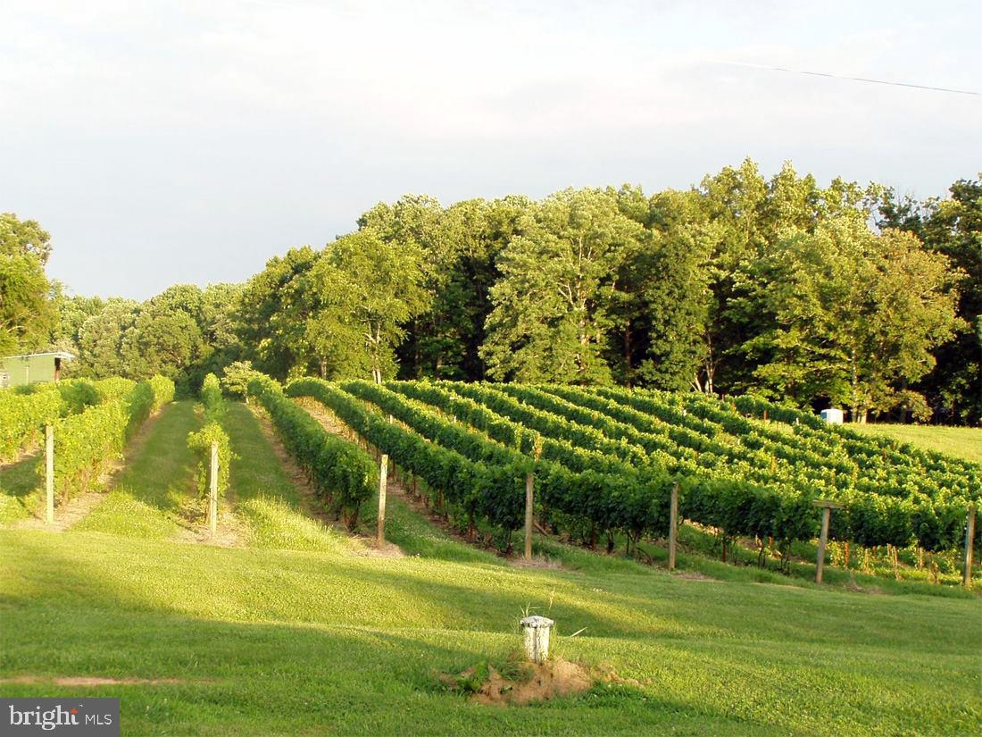 5621 COURTHOUSE RD, SPOTSYLVANIA, Virginia 22551, ,Land,For Sale,5621 COURTHOUSE RD,VASP2028818 MLS # VASP2028818 5621 COURTHOUSE RD, SPOTSYLVANIA, Virginia 22551, ,Land,For Sale,5621 COURTHOUSE RD,VASP2028818 MLS # VASP2028818