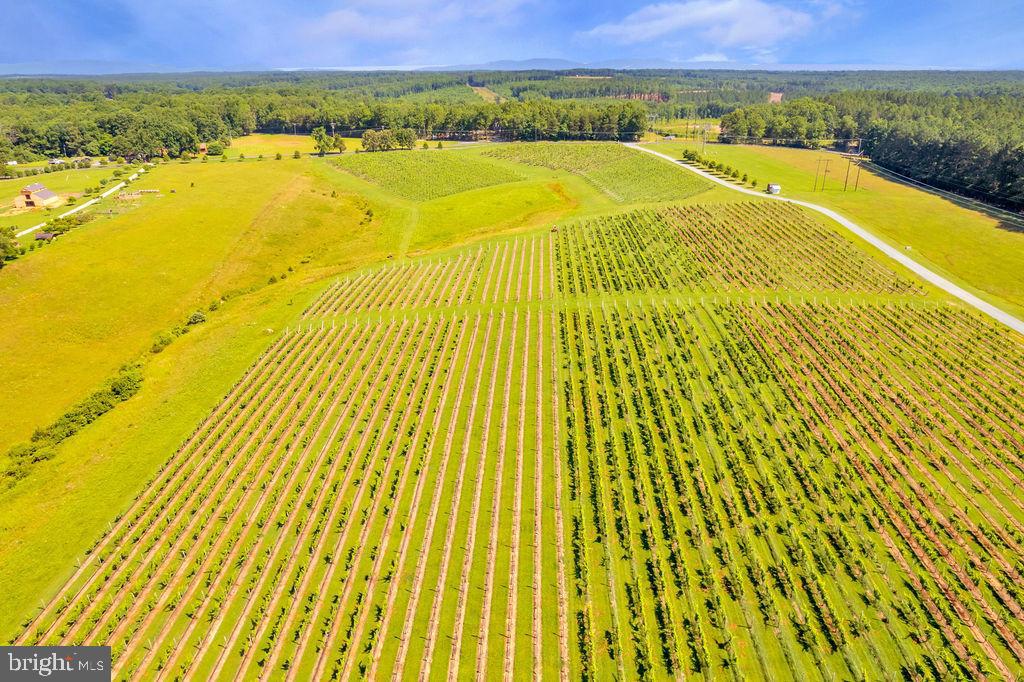 3304 RURITAN LAKE, PALMYRA, Virginia 22963, ,Farm,For Sale,3304 RURITAN LAKE,VAFN2000352 MLS # VAFN2000352 3304 RURITAN LAKE, PALMYRA, Virginia 22963, ,Farm,For Sale,3304 RURITAN LAKE,VAFN2000352 MLS # VAFN2000352