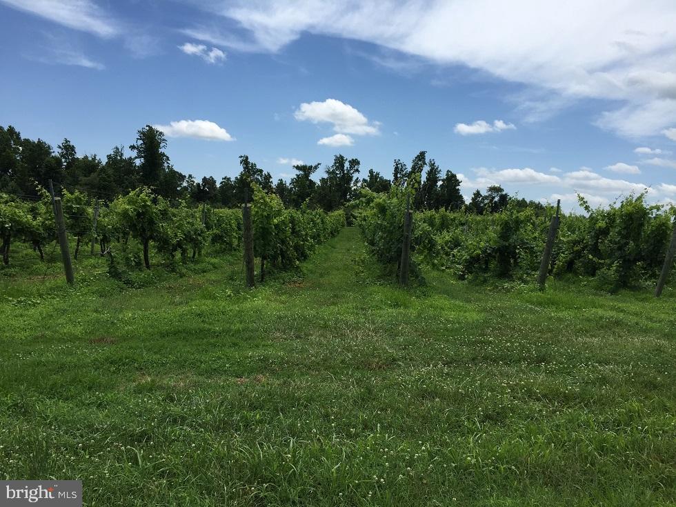 495 MEADOW LANDING LANE, CARET, Virginia 22436, 1 Bedroom Bedrooms, ,1 BathroomBathrooms,Farm,For Sale,495 MEADOW LANDING LANE,VAES2000736 MLS # VAES2000736