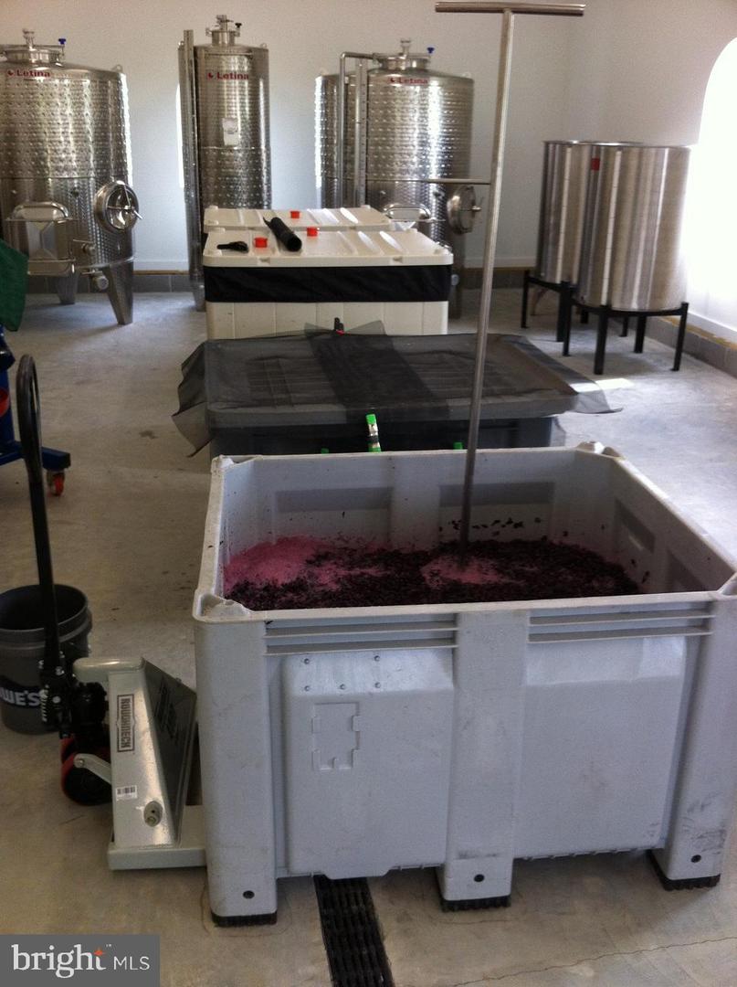 495 MEADOW LANDING LANE, CARET, Virginia 22436, 1 Bedroom Bedrooms, ,1 BathroomBathrooms,Farm,For Sale,495 MEADOW LANDING LANE,VAES2000736 MLS # VAES2000736