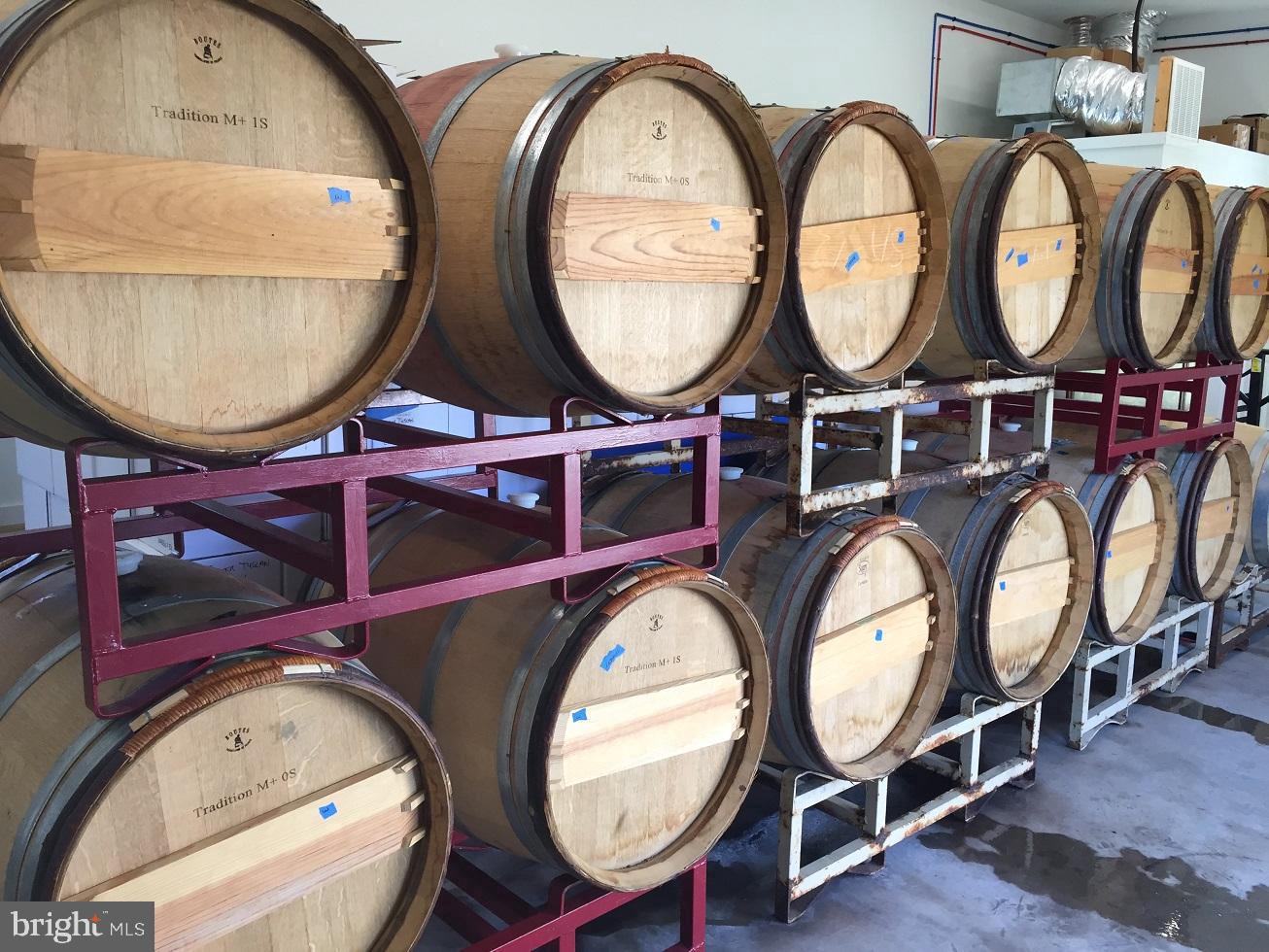 495 MEADOW LANDING LANE, CARET, Virginia 22436, 1 Bedroom Bedrooms, ,1 BathroomBathrooms,Farm,For Sale,495 MEADOW LANDING LANE,VAES2000736 MLS # VAES2000736