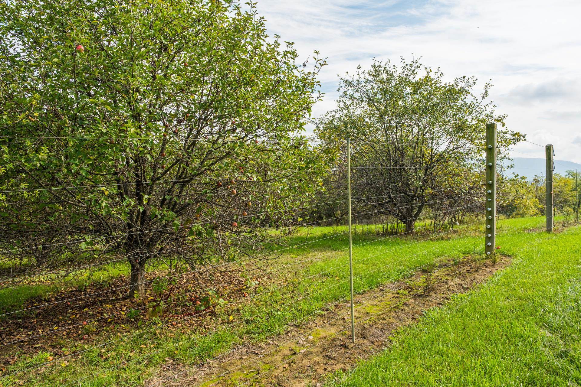 945 NEESE LN, NEW MARKET, Virginia 22844, 4 Bedrooms Bedrooms, ,4 BathroomsBathrooms,Residential,14,945 NEESE LN,658233 MLS # 658233