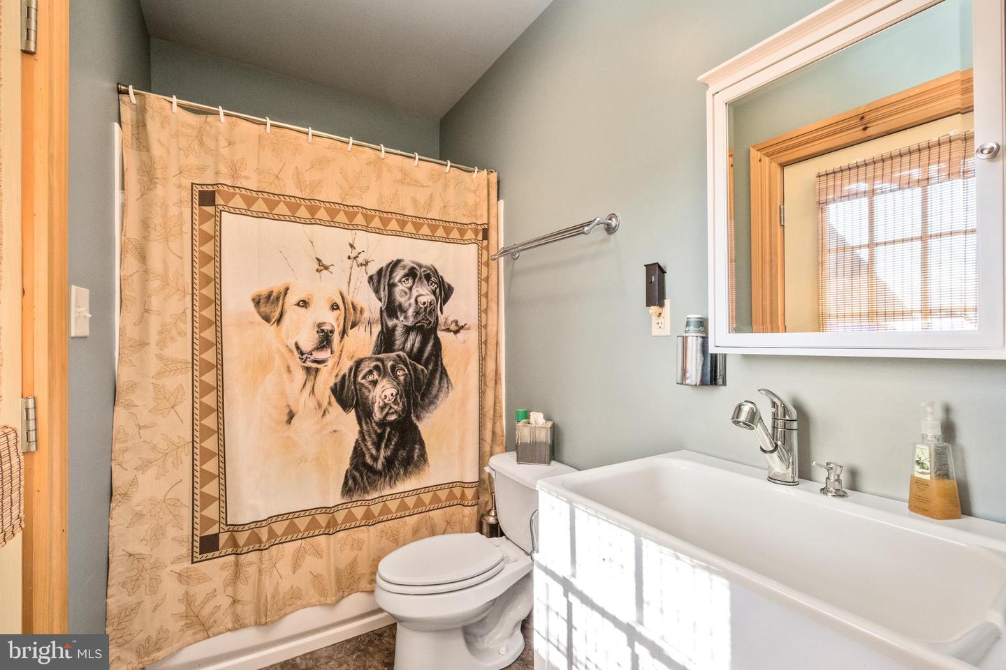 945 NEESE LN, NEW MARKET, Virginia 22844, 4 Bedrooms Bedrooms, 9 Rooms Rooms,4 BathroomsBathrooms,Residential,For Sale,945 NEESE LN,VASH2009944 MLS # VASH2009944