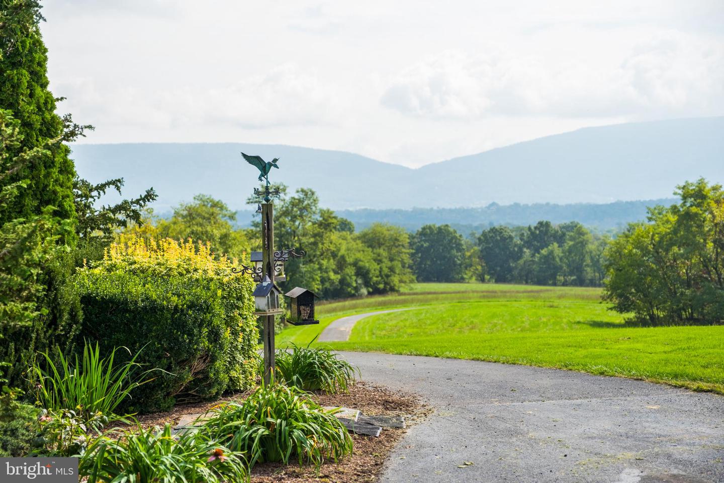 945 NEESE LN, NEW MARKET, Virginia 22844, 4 Bedrooms Bedrooms, 9 Rooms Rooms,4 BathroomsBathrooms,Residential,For Sale,945 NEESE LN,VASH2009944 MLS # VASH2009944