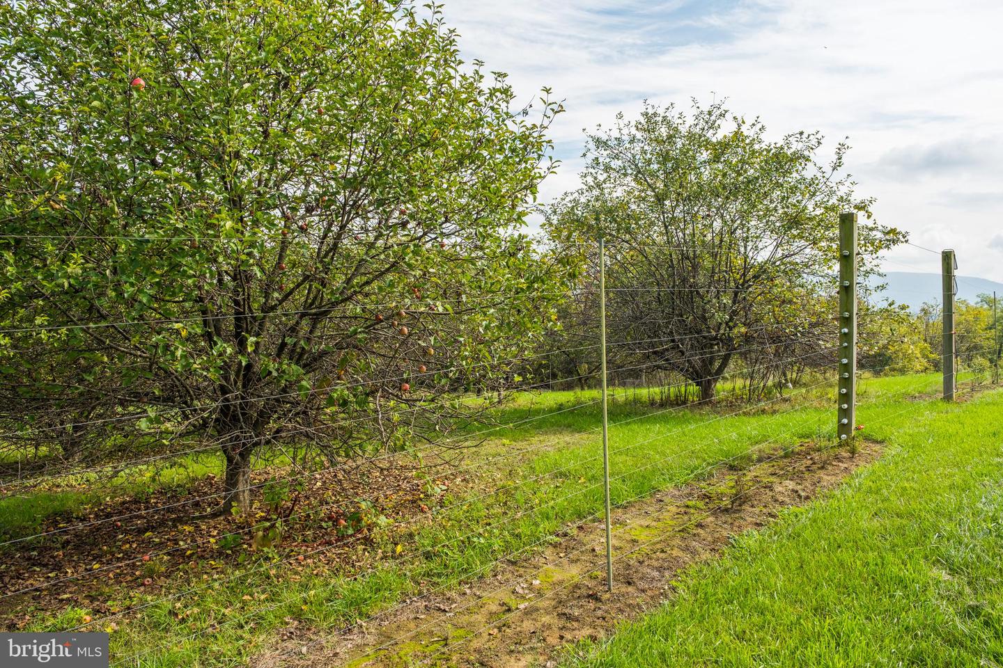 945 NEESE LN, NEW MARKET, Virginia 22844, 4 Bedrooms Bedrooms, 9 Rooms Rooms,4 BathroomsBathrooms,Residential,For Sale,945 NEESE LN,VASH2009944 MLS # VASH2009944