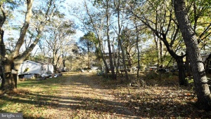 100 HIDDEN RUN LANE, CASTLETON, Virginia 22716, ,Land,For Sale,100 HIDDEN RUN LANE,VARP2001830 MLS # VARP2001830