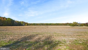 LOT 177 HOPETON RD, BLOXOM, Virginia 23308, ,Land,For Sale,LOT 177 HOPETON RD,VAAC2001426 MLS # VAAC2001426