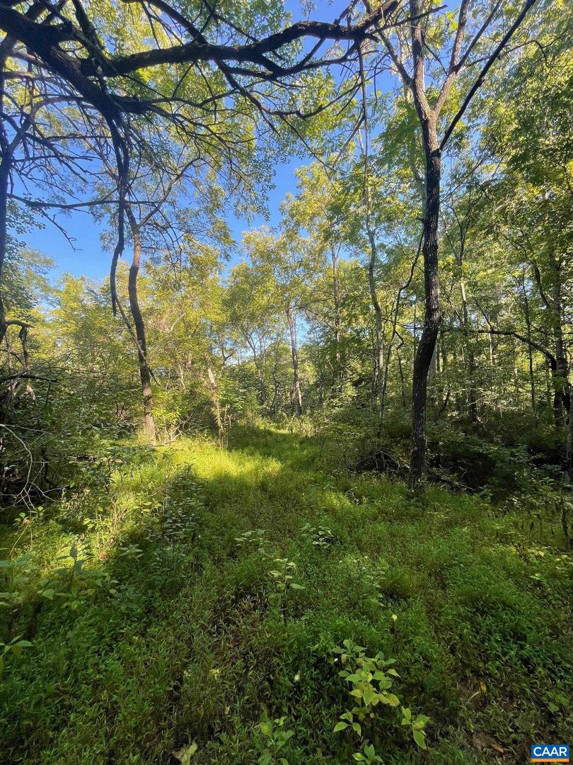 TBD STONY POINT PASS #30E, KESWICK, Virginia 22947, ,Farm,For Sale,TBD STONY POINT PASS #30E,645866 MLS # 645866 TBD STONY POINT PASS #30E, KESWICK, Virginia 22947, ,Farm,For Sale,TBD STONY POINT PASS #30E,645866 MLS # 645866