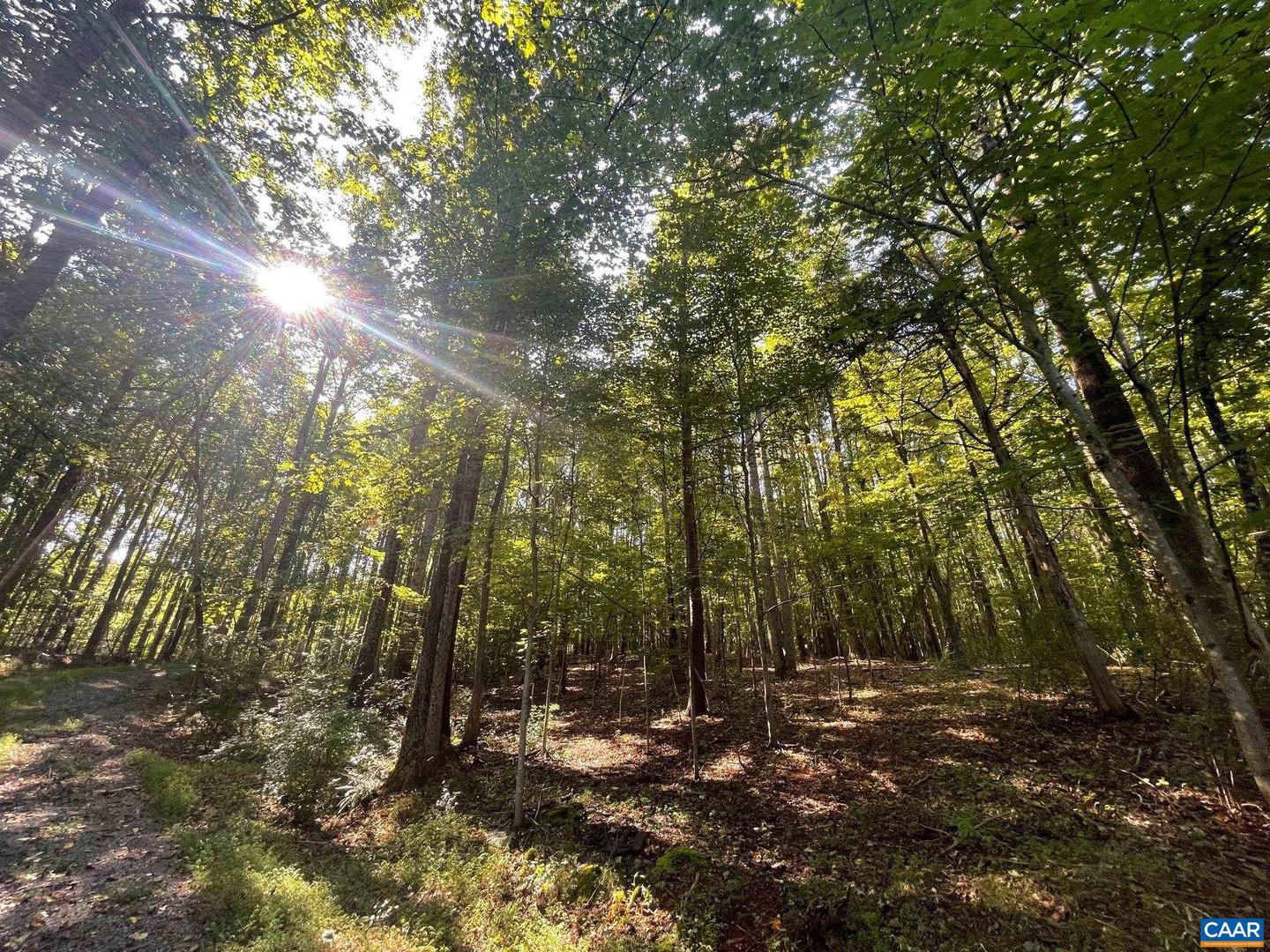 TBD STONY POINT PASS #30E, KESWICK, Virginia 22947, ,Farm,For Sale,TBD STONY POINT PASS #30E,645866 MLS # 645866 TBD STONY POINT PASS #30E, KESWICK, Virginia 22947, ,Farm,For Sale,TBD STONY POINT PASS #30E,645866 MLS # 645866