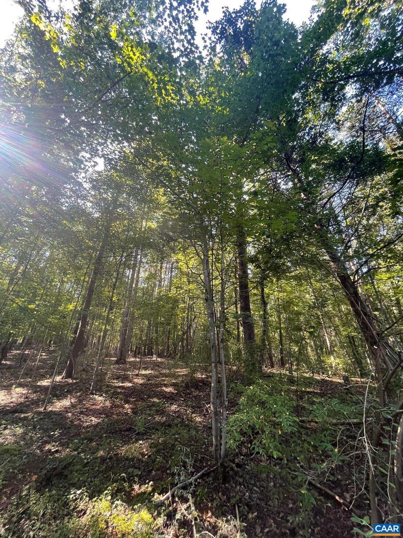 TBD STONY POINT PASS #30E, KESWICK, Virginia 22947, ,Farm,For Sale,TBD STONY POINT PASS #30E,645866 MLS # 645866 TBD STONY POINT PASS #30E, KESWICK, Virginia 22947, ,Farm,For Sale,TBD STONY POINT PASS #30E,645866 MLS # 645866