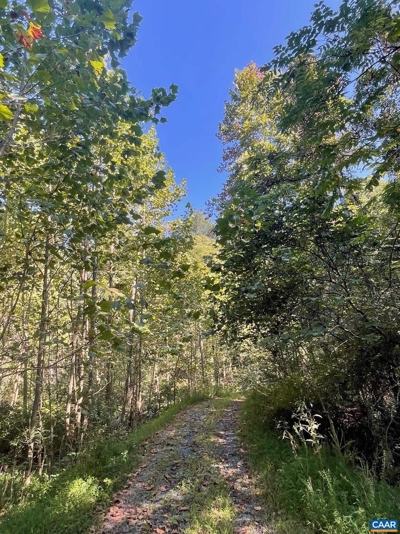 TBD STONY POINT PASS #30E, KESWICK, Virginia 22947, ,Farm,For Sale,TBD STONY POINT PASS #30E,645866 MLS # 645866 TBD STONY POINT PASS #30E, KESWICK, Virginia 22947, ,Farm,For Sale,TBD STONY POINT PASS #30E,645866 MLS # 645866