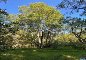 TBD STONY POINT PASS #30E, KESWICK, Virginia 22947, ,Farm,For Sale,TBD STONY POINT PASS #30E,645866 MLS # 645866 TBD STONY POINT PASS #30E, KESWICK, Virginia 22947, ,Farm,For Sale,TBD STONY POINT PASS #30E,645866 MLS # 645866