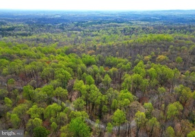 0 CASTLETON VIEW ROAD, CASTLETON, Virginia 22716, ,Land,For Sale,0 CASTLETON VIEW ROAD,VARP2001832 MLS # VARP2001832 0 CASTLETON VIEW ROAD, CASTLETON, Virginia 22716, ,Land,For Sale,0 CASTLETON VIEW ROAD,VARP2001832 MLS # VARP2001832