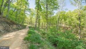 US HWY 340 GALLOWAY SPRINGS #LOT 2, STANLEY, Virginia 22851, ,Land,For Sale,US HWY 340 GALLOWAY SPRINGS #LOT 2,VAPA2004176 MLS # VAPA2004176