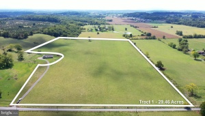 TRACT 1 GOLDS HILL RD, WINCHESTER, Virginia 22603, ,Land,For Sale,TRACT 1 GOLDS HILL RD,VAFV2022464 MLS # VAFV2022464